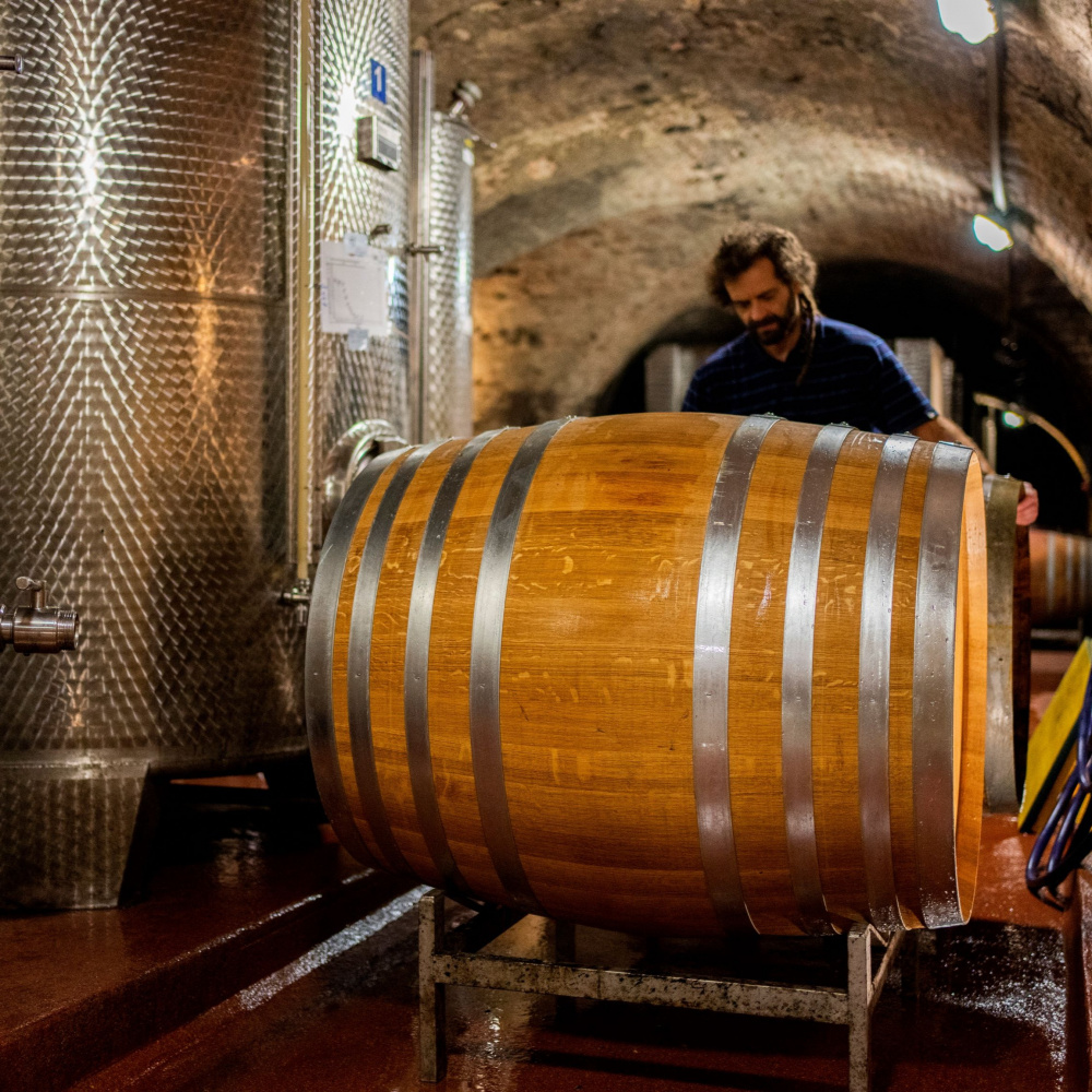 Weingut Liechtenstein1