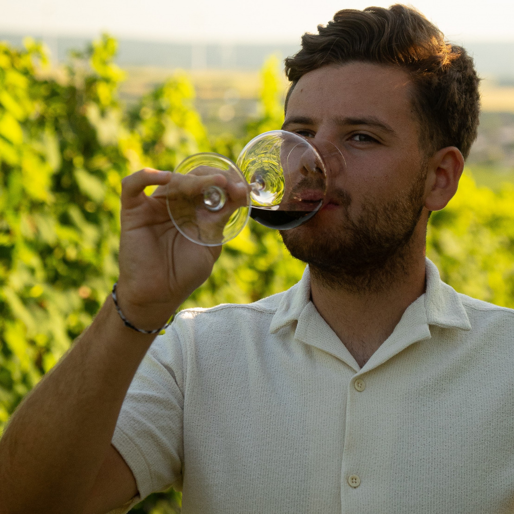 Weingut Gerhard Pimpel Foto | © Weingut Gerhard Pimpel
